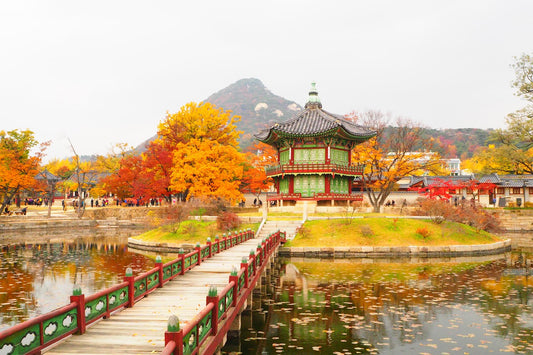 Los 6 Mejores Lugares para Disfrutar del Paisaje de Otoño en Seúl